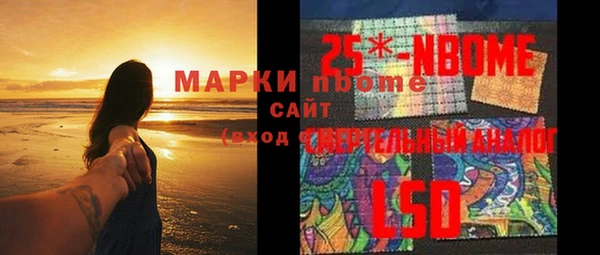 сатива Зеленокумск