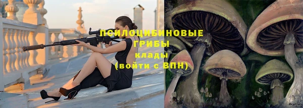 стафф Зеленодольск